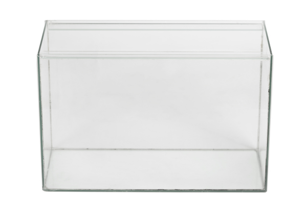 Is a Shrimp Tank Good for a Desk? What to Know First