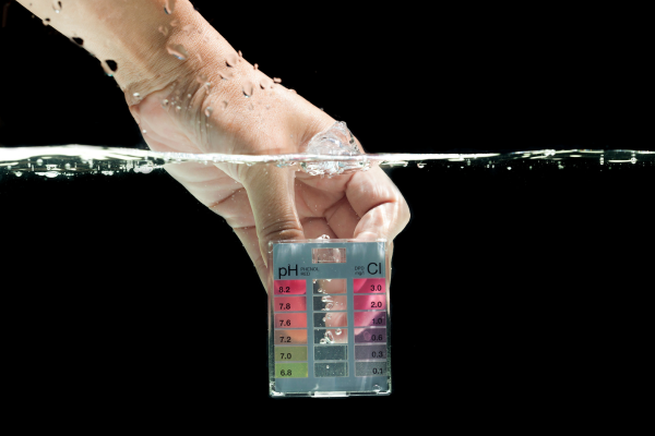 How to Choose a Water Test Kit for Shrimp Keeping
