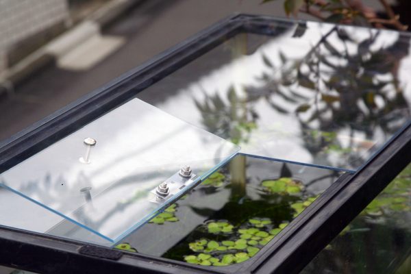 Do You Need a Lid for a Shrimp Tank?